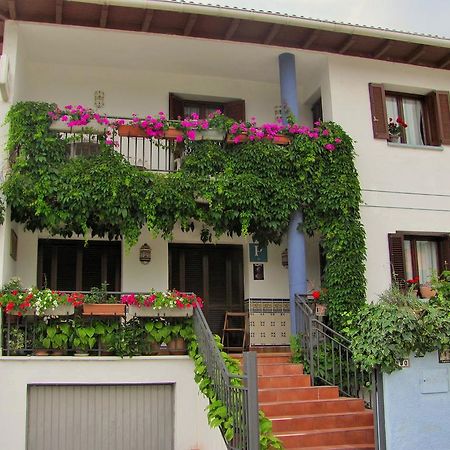 Pension El Peregrino De Larrasoana Екстериор снимка
