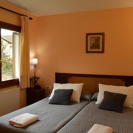 Pension El Peregrino De Larrasoana Екстериор снимка